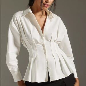 Anthropologie "The Tobie" Pleated Blouse by Exquise: Long-Sleeve Edition sz L